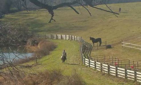 Locust Lane Riding Center