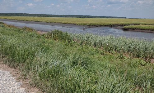 Forsythe Wildlife Refuge Brigantine