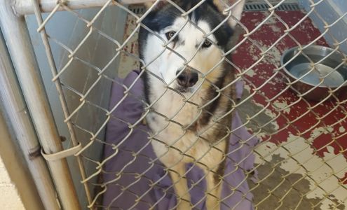 High Desert Humane Society