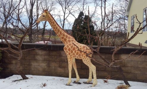 Ronald McDonald House