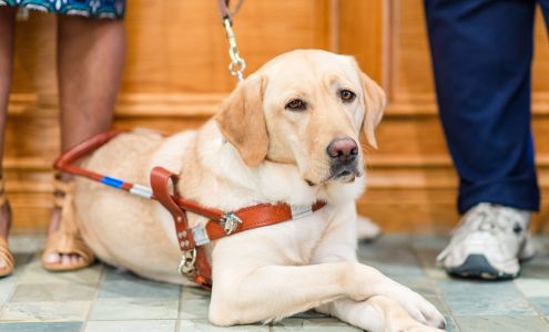 Guiding Eyes for the Blind