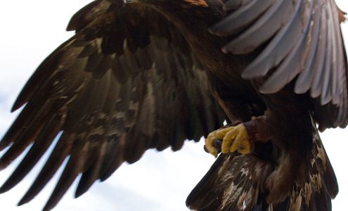 Possumwood Acres Wildlife Sanctuary