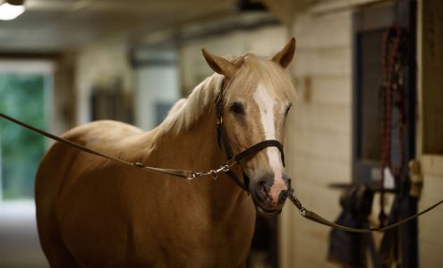 Shining Hope Farms