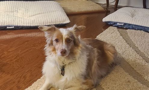 Richardson Rescue