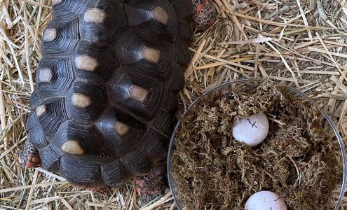 Aquarium & Shark Lab by Team ECCO