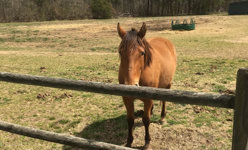 Mephibosheth Farms Angelic Riders 820 Forest Hills School Rd N, Marshville North Carolina 28103