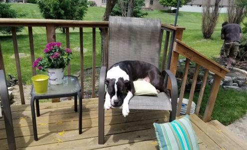 Miami County Animal Shelter