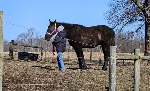 Happy Trails Farm Animal Sanctuary, Inc.