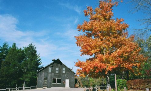 Stepping Stones, Inc.