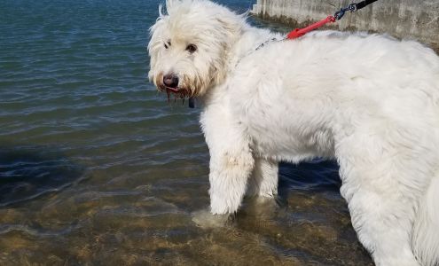 The Humane Society serving Crawford County