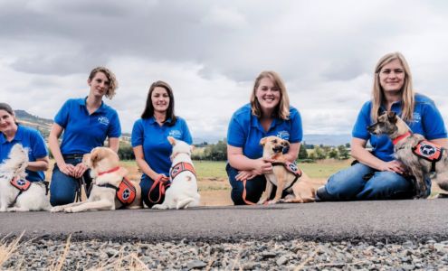 Dogs for Better Lives