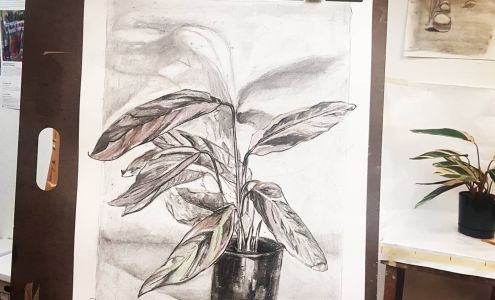 University City Arts League