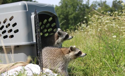 Aark Wildlife Rehabilitation and Education Center