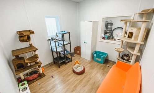 The Cattery Cat Shelter