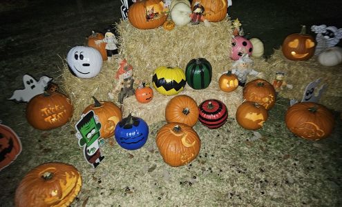 Lubbock Memorial Arboretum