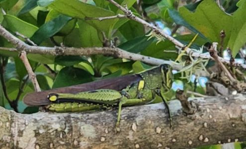 United Way of Greater Houston – Fort Bend Center