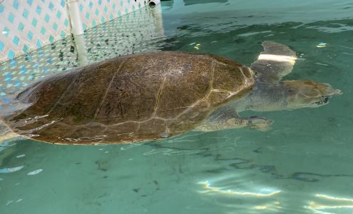 Texas Sealife Center