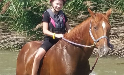 The Farm Animal Rescue; formerly known as The Farm at Gardner Village