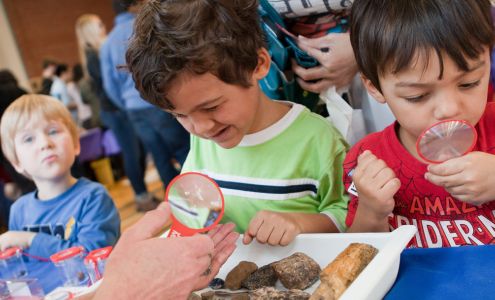 Virginia Discovery Museum