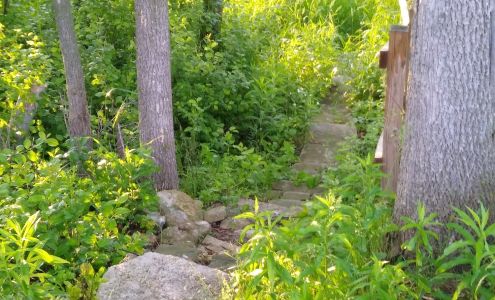 Wild Ones Natural Landscapers