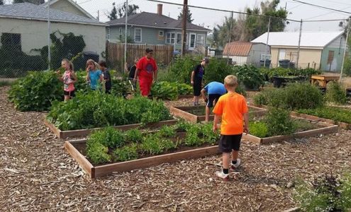 Wyoming Food for Thought Project