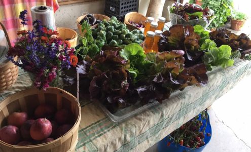 North of Concord Farm Salisbury