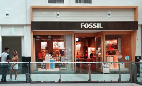 Fossil Store