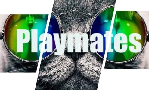 Playmates South Byron