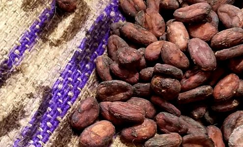 BOHO Chocolate Factory I Artisan Made I Bean-to-Bar Chocolate Florence