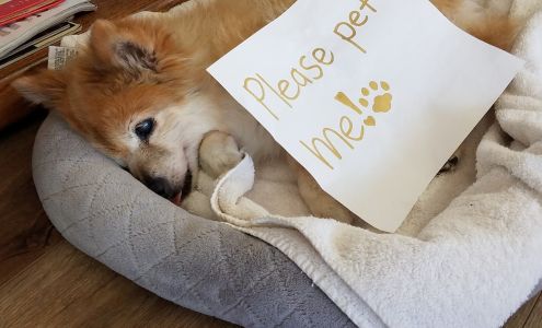 Pearl City Chiropractic, LLC