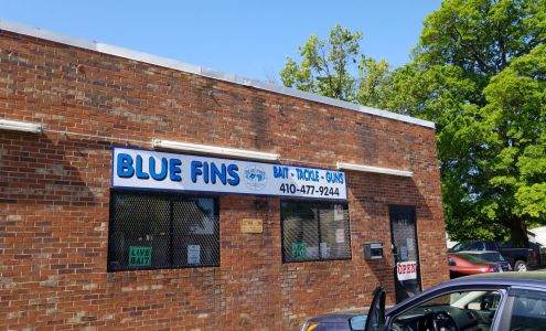 Blue Fins