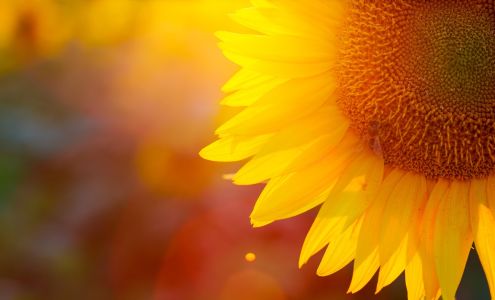 Kansas Broadband Internet