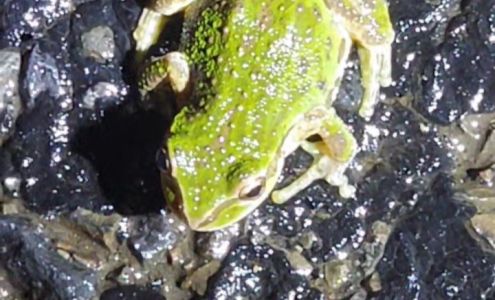 Wirth Wireless Internet /Tv & Graphics