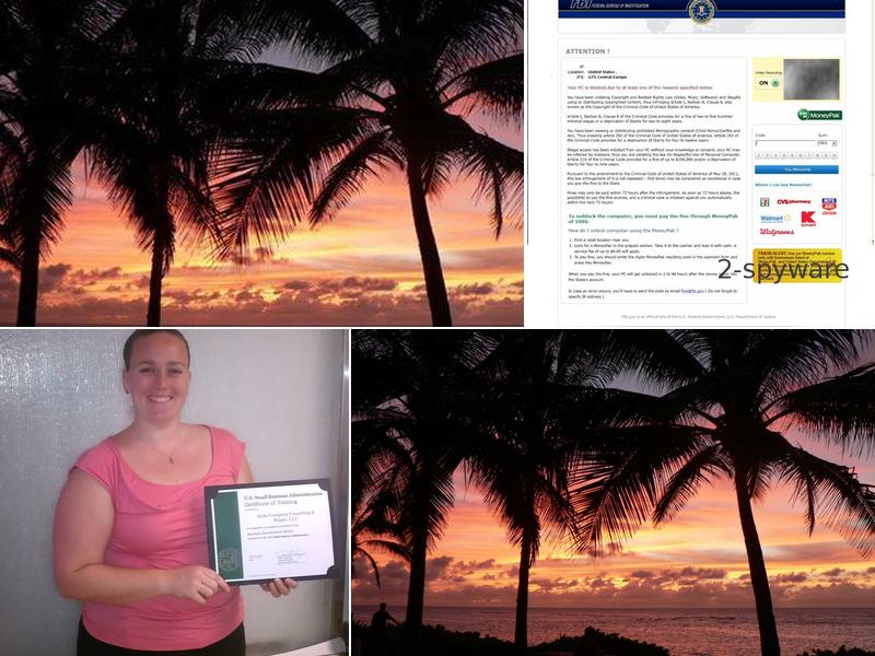 Aloha Computer Consulting-Rpr