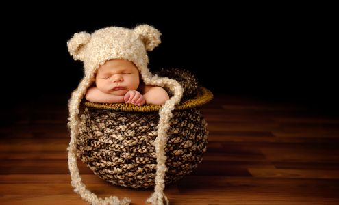 Firefly Nights Photography