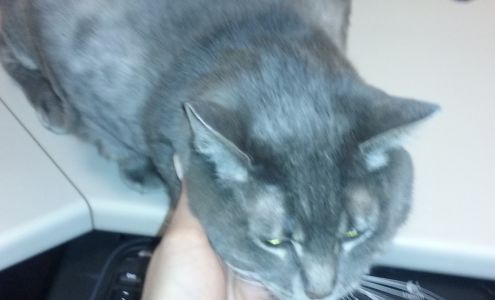 Cable Communications Inc