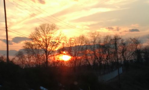 Art Communication Systems Inc.