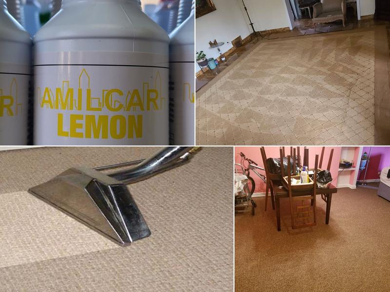 Amilcar Carpet Cleaners