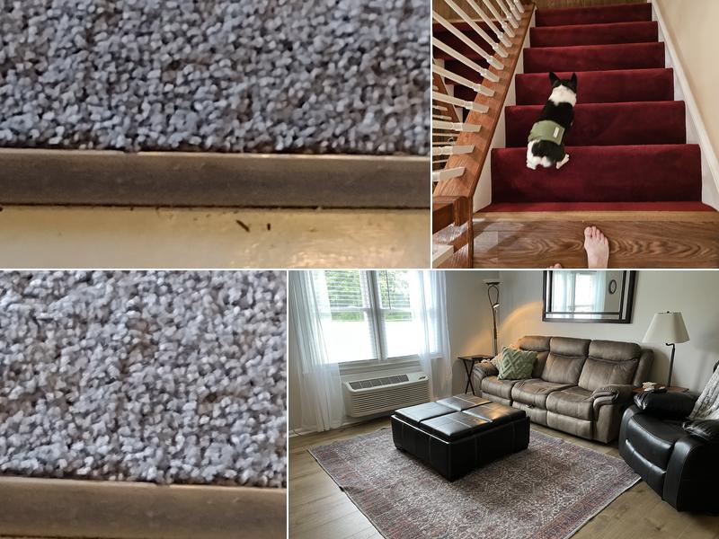 Georgia Carpet & Flooring Warehouse