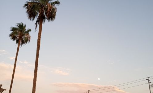 Precious Treasures Mission