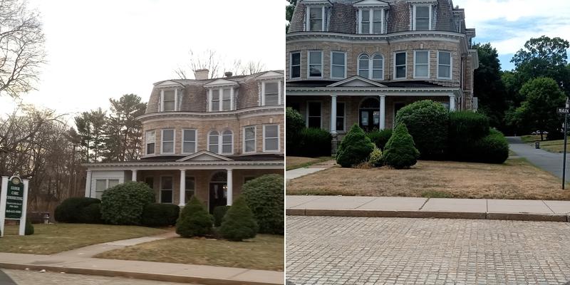 Elder Care Consulting LLC