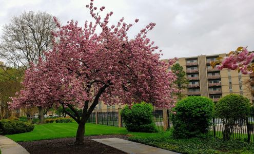 Oakcrest Tower Apartments