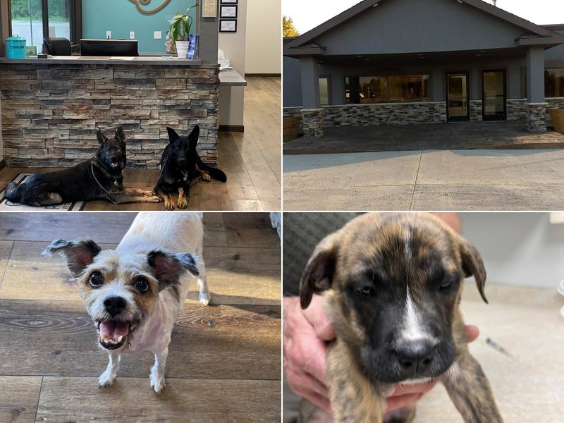 Premier Veterinary Care