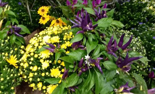 Naturally Beautiful Plant Products Belvidere