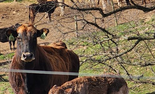 Twin Pine Farm Seven Valleys