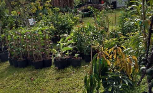 Rare Fruit & Vegetable Council of Broward Inc Southwest Ranches