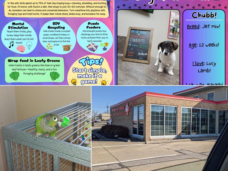 Broadview Animal & Bird Hospital: Shaw S DVM