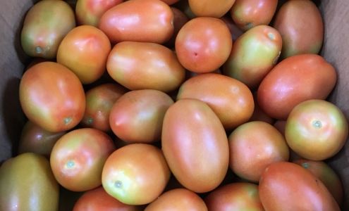 Mex Flores Produce Company, Inc