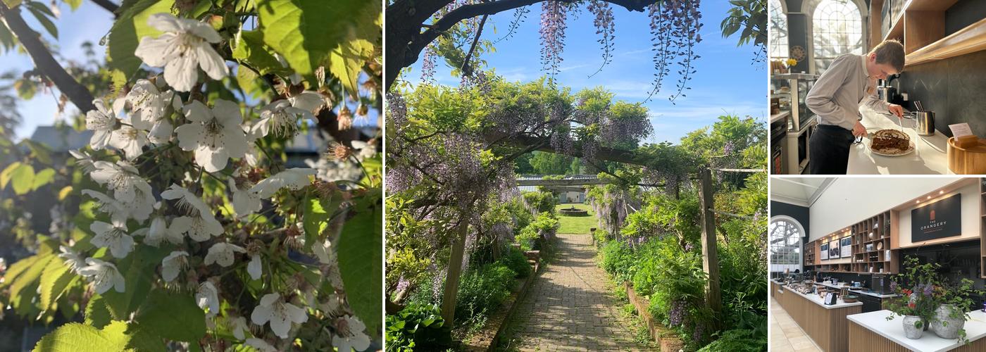 The Orangery - Ashburnham Place