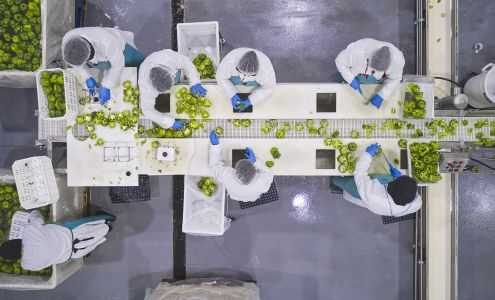 First Quality Produce